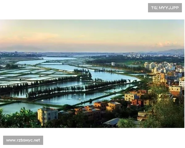 如何深刻理解东超在文化、经济与社会变迁中的多重意义