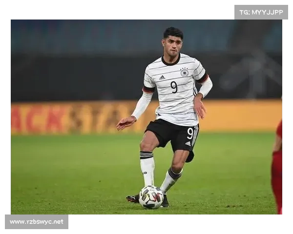 归化球员转会费50万欧元对国内足球市场的深远影响分析