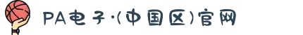 PA电子·(中国区)官网